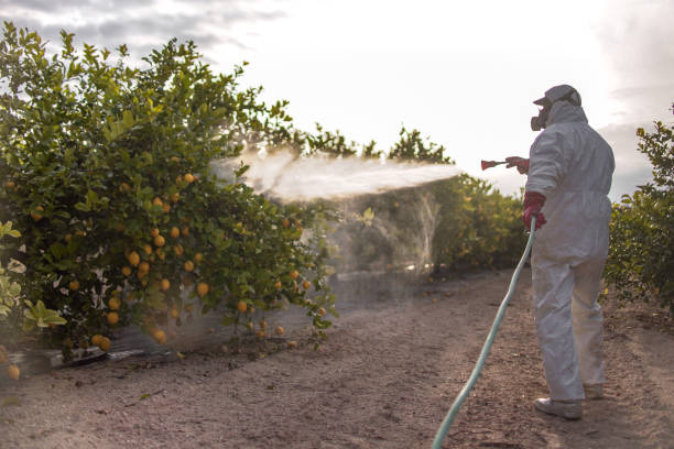 Best Residential Pest Control  in Harrison, NJ