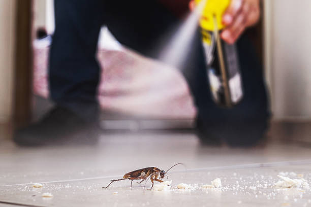 Best Pest Inspection Near Me  in Harrison, NJ