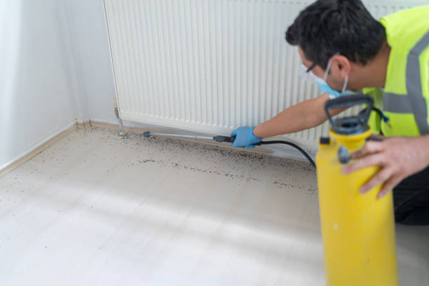 Best Cockroach Control Services  in Harrison, NJ