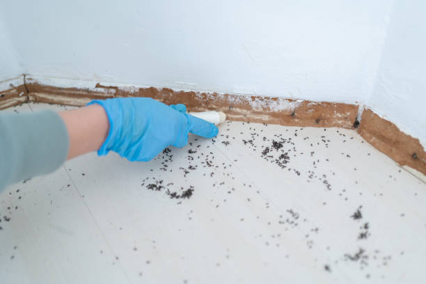Pest Control Cost in Harrison, NJ